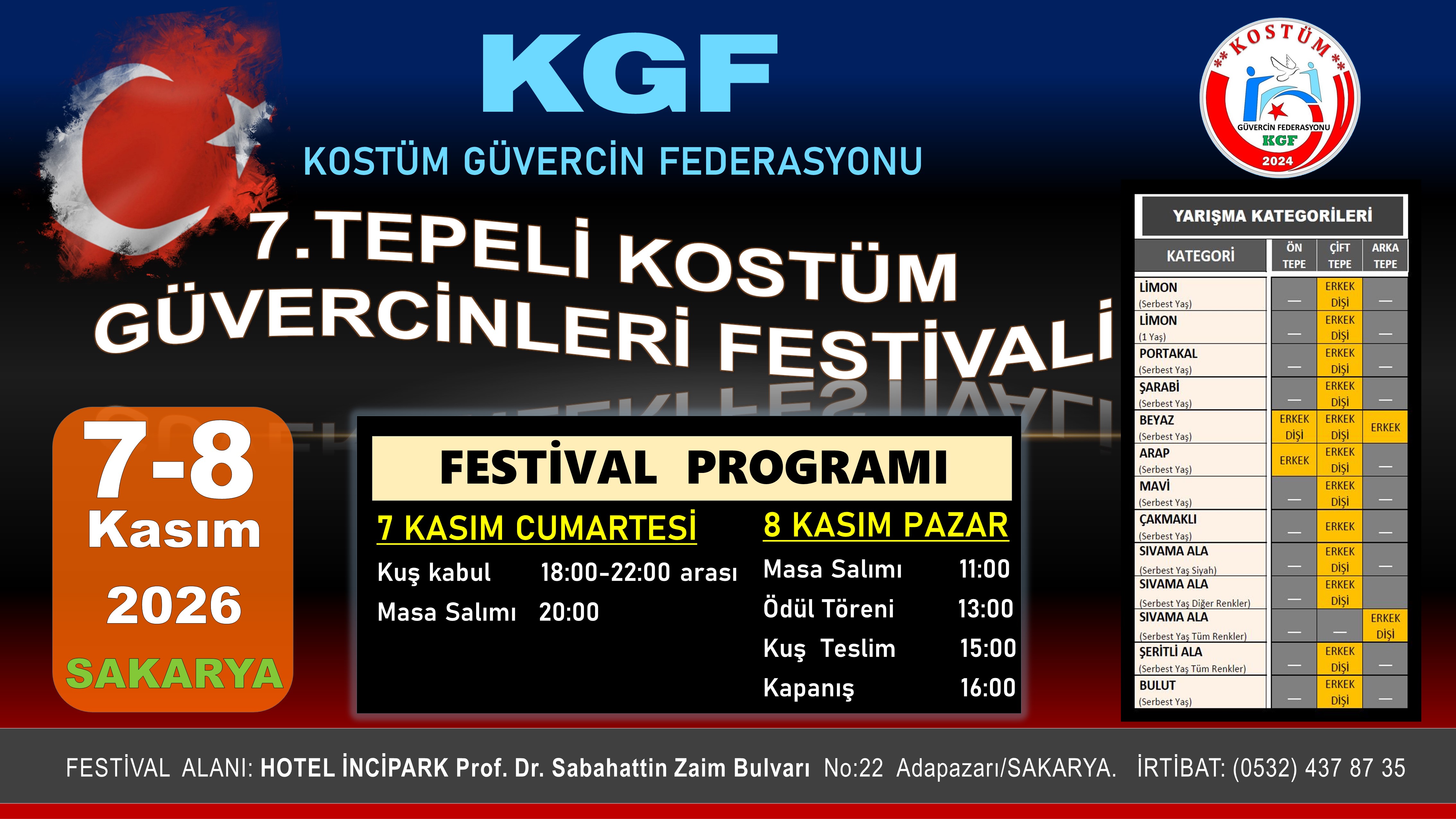 festival afiş